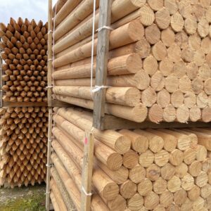 PIQUET PIN MARITIME Appointé