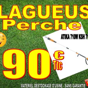 ELAGUEUSE PERCHE